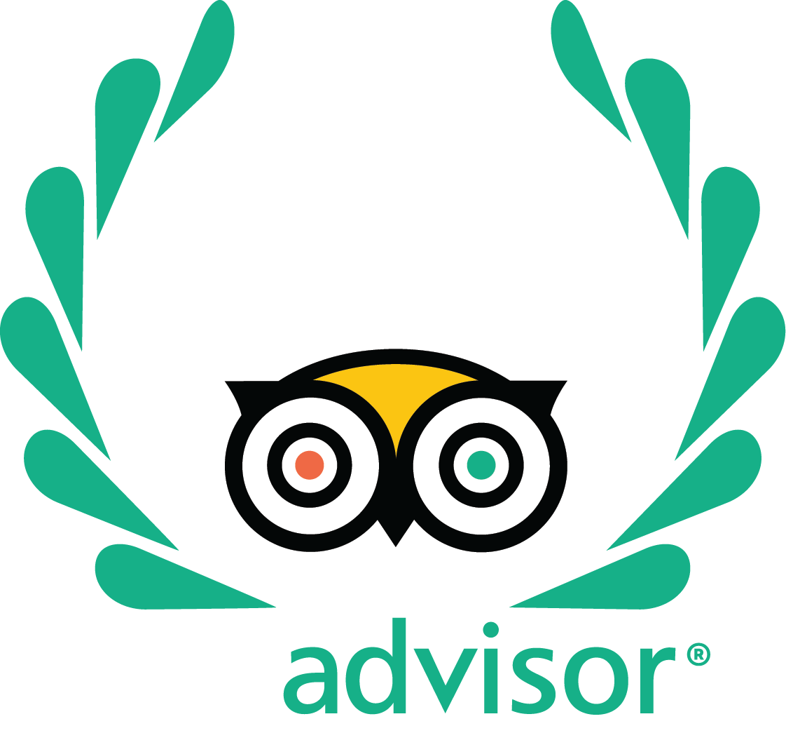 tripadvisor