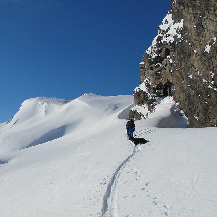 Fjellski Vatnahalsen