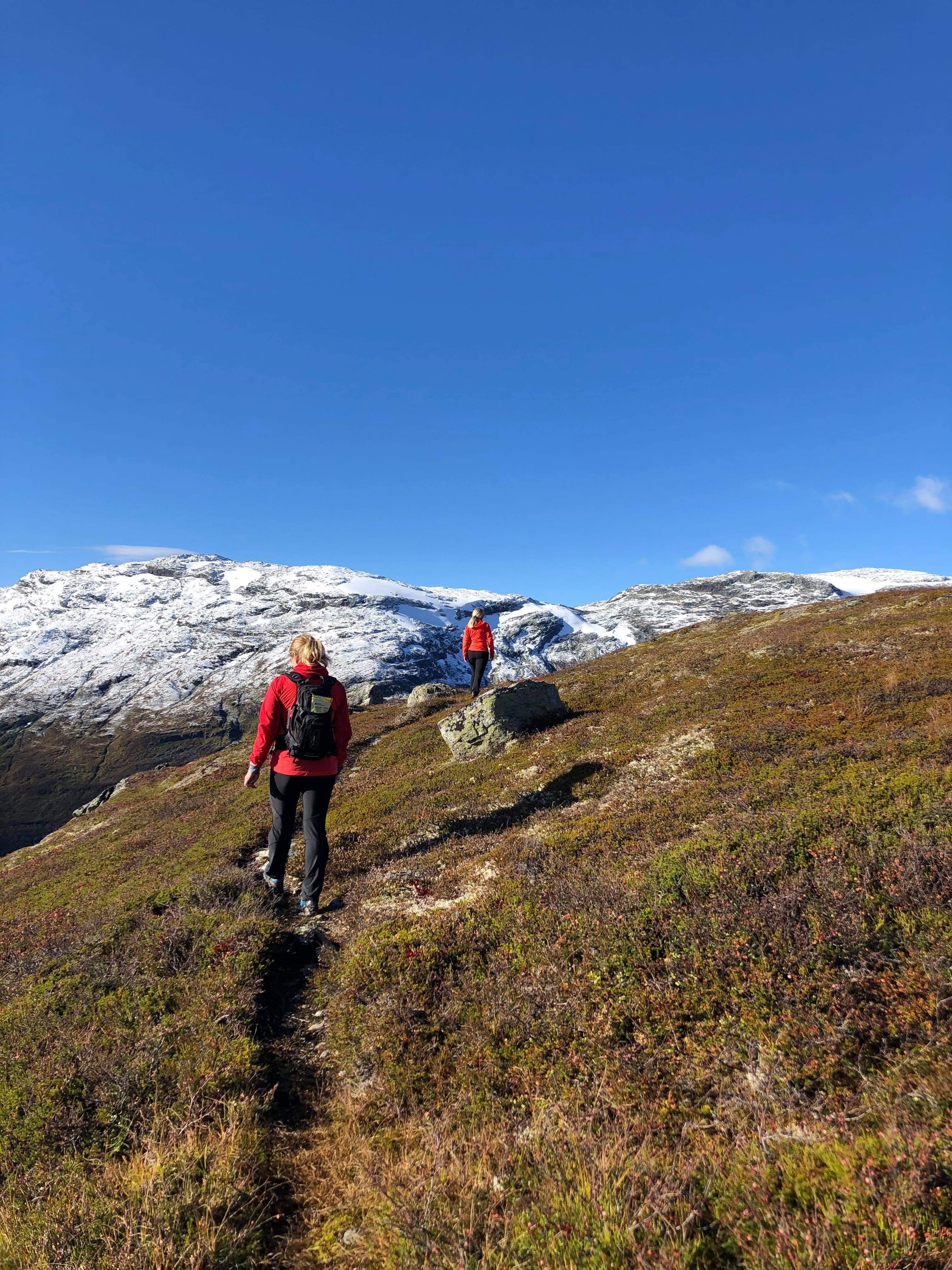 Turjenter Vatnahalsen