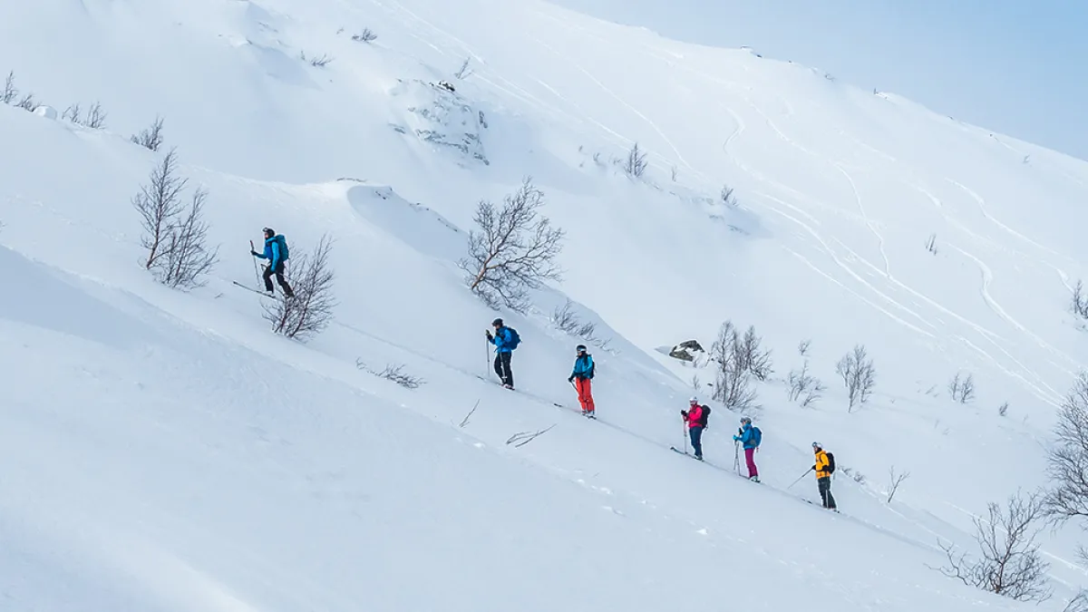 Åpen skiføring